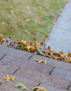 leaf screens and gutter guards