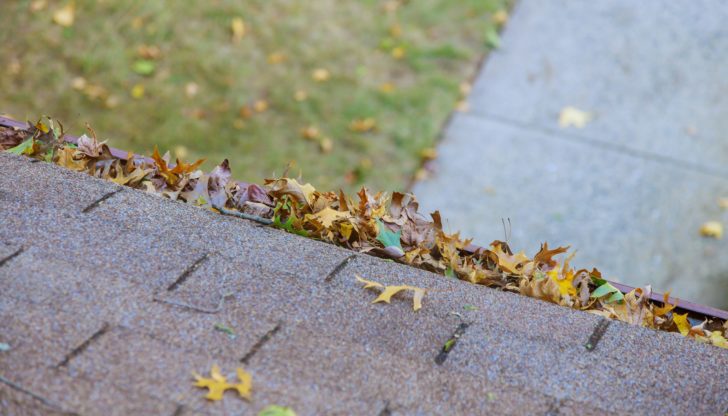 Gutter Guards & Leaf Screens